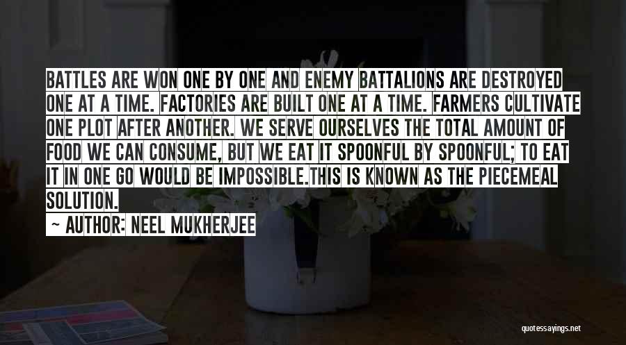 Mukherjee Quotes By Neel Mukherjee