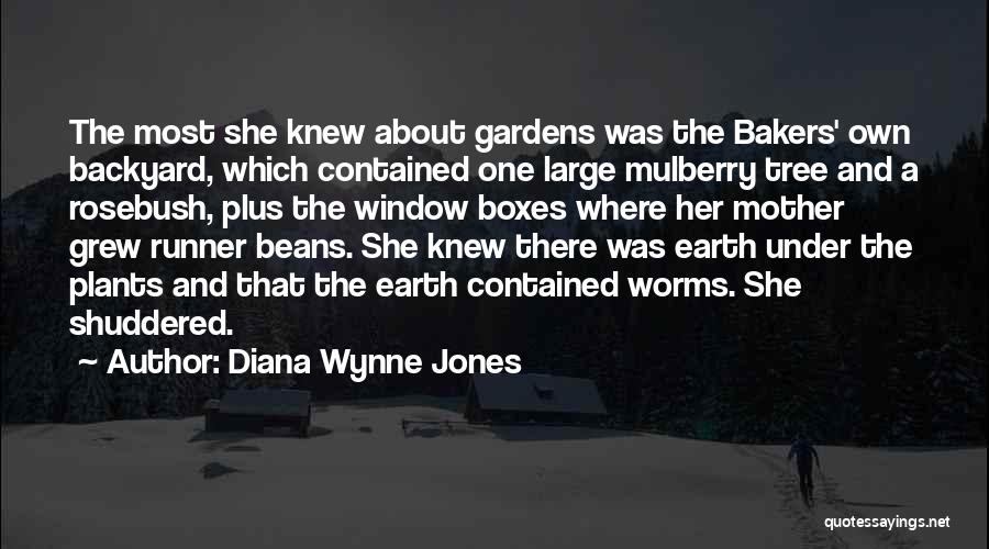 Mulberry Quotes By Diana Wynne Jones
