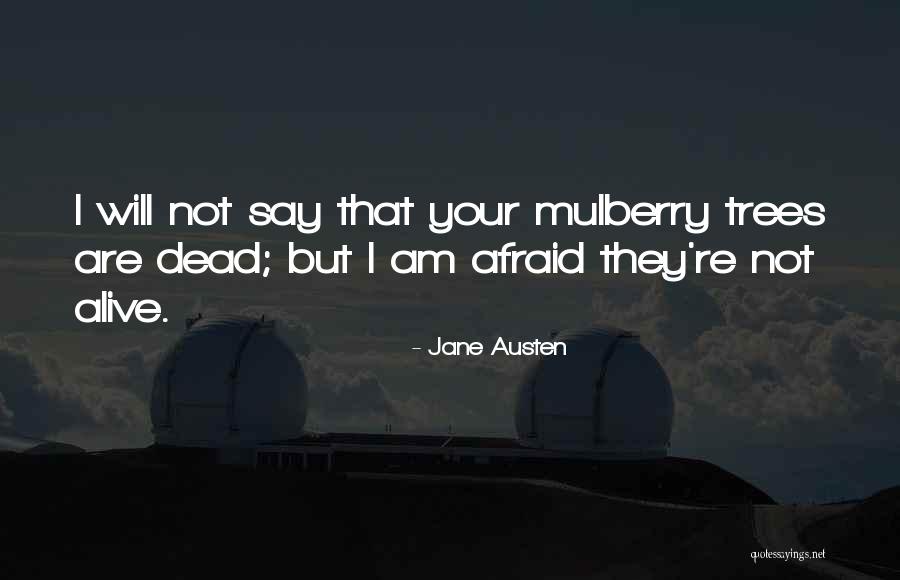 Mulberry Quotes By Jane Austen