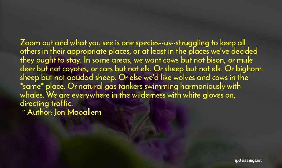 Mule Deer Quotes By Jon Mooallem