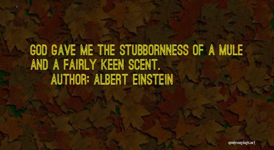 Mules Quotes By Albert Einstein
