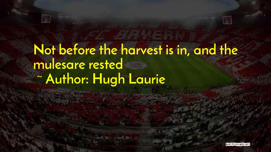 Mules Quotes By Hugh Laurie