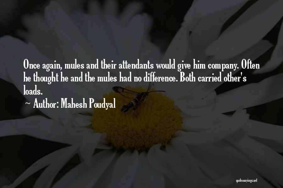 Mules Quotes By Mahesh Poudyal