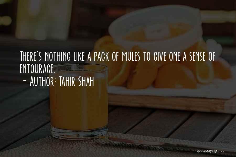 Mules Quotes By Tahir Shah