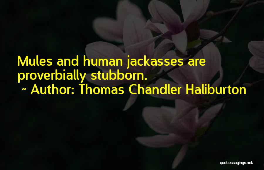 Mules Quotes By Thomas Chandler Haliburton