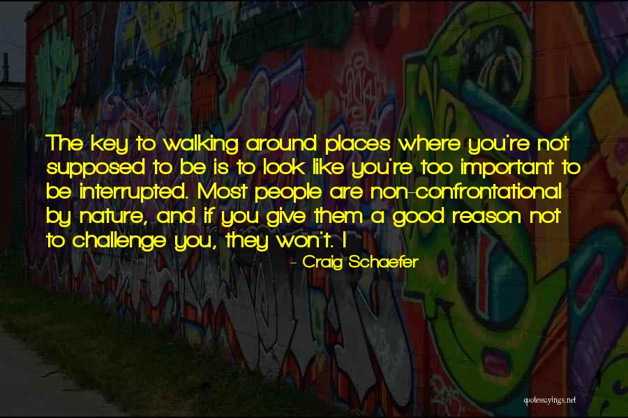 Muleteers Quotes By Craig Schaefer Muleteers Quotes By Craig Schaefer
