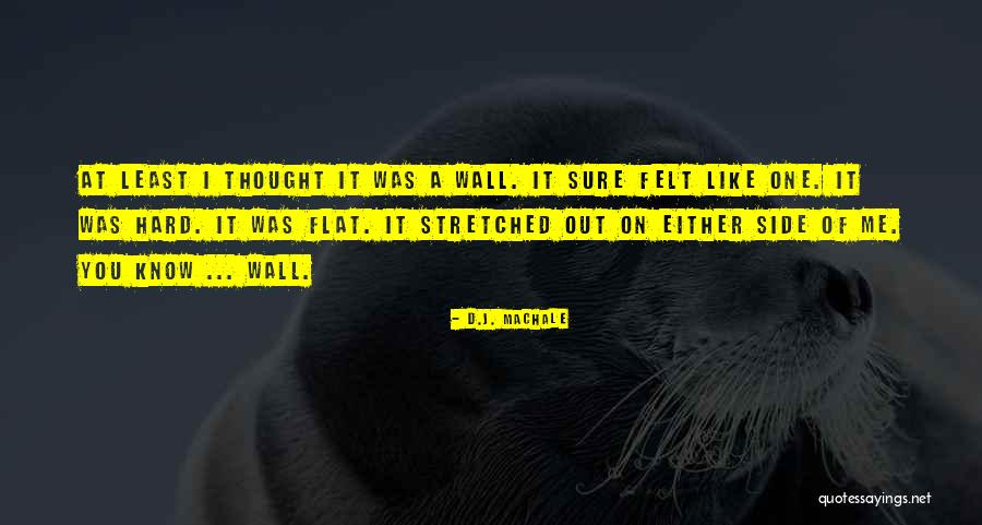 Mulheren Net Quotes By D.J. MacHale Mulheren Net Quotes By D.J. MacHale