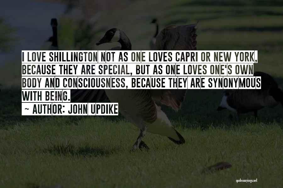 Mulheron Construction Quotes By John Updike