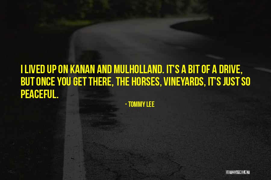 Mulholland Drive Quotes By Tommy Lee