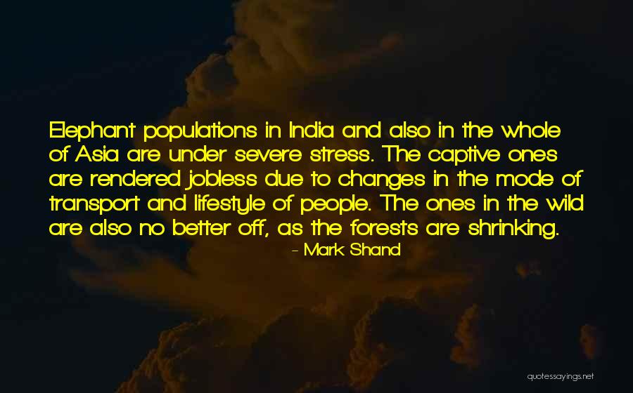 Mulini Reali Quotes By Mark Shand Mulini Reali Quotes By Mark Shand