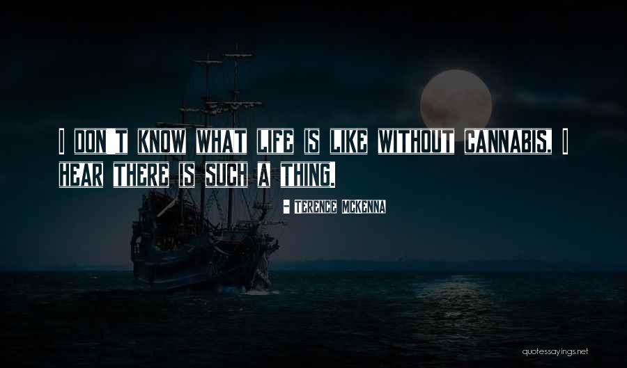 Mulishness Crossword Quotes By Terence McKenna Mulishness Crossword Quotes By Terence McKenna