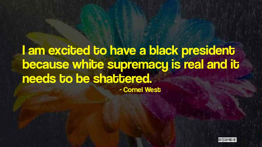 Mullarneys Lawn Quotes By Cornel West Mullarneys Lawn Quotes By Cornel West