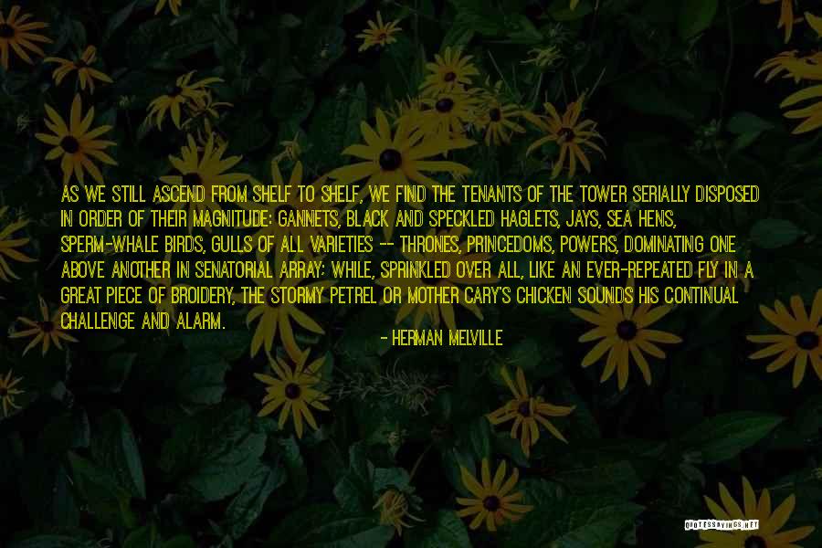 Mullarneys Lawn Quotes By Herman Melville Mullarneys Lawn Quotes By Herman Melville
