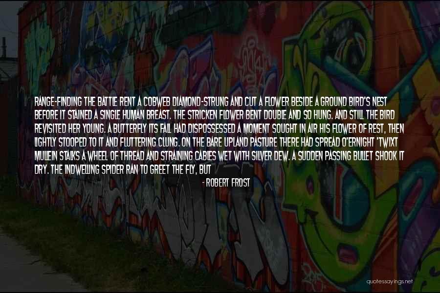 Mullein Flower Quotes By Robert Frost Mullein Flower Quotes By Robert Frost