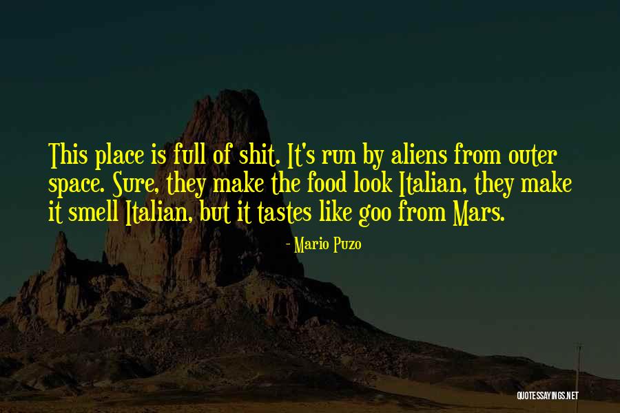 Mulligatawny Origin Quotes By Mario Puzo Mulligatawny Origin Quotes By Mario Puzo