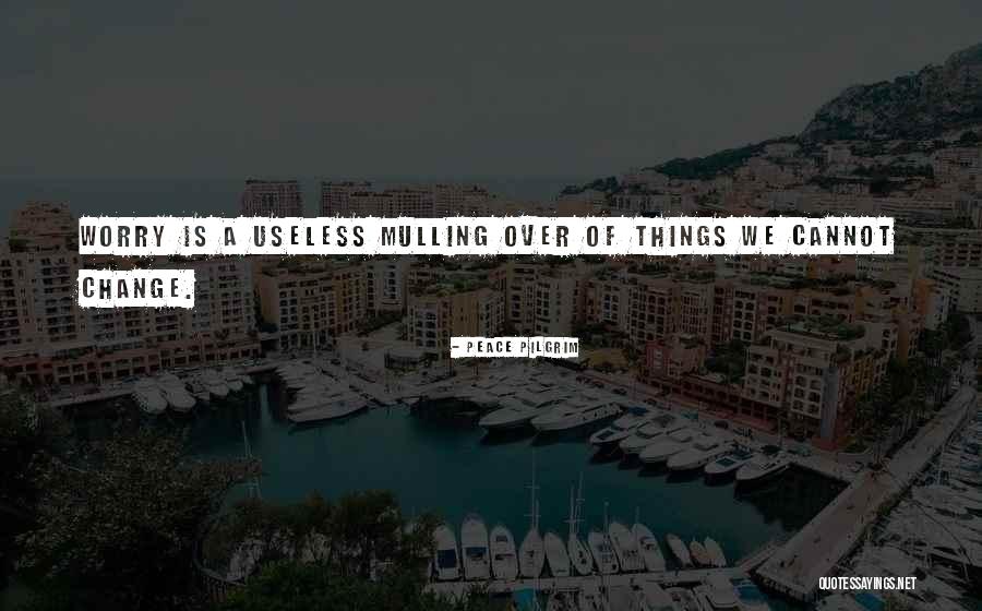 Mulling Quotes By Peace Pilgrim Mulling Quotes By Peace Pilgrim