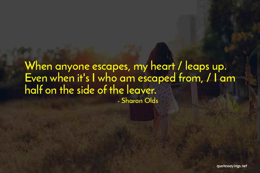 Mulloys Quotes By Sharon Olds Mulloys Quotes By Sharon Olds