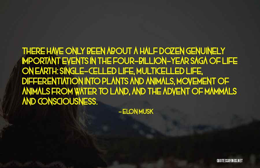 Mulongo Luhya Quotes By Elon Musk Mulongo Luhya Quotes By Elon Musk