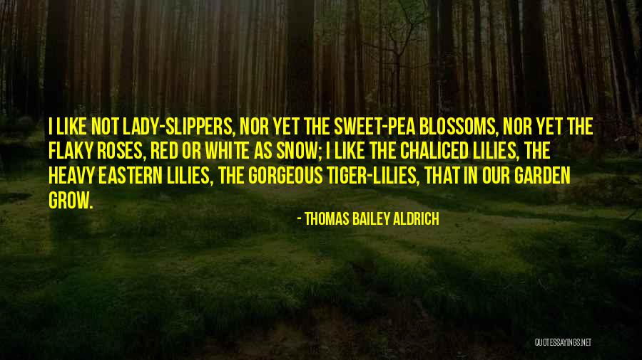 Multi Legged Worm Quotes By Thomas Bailey Aldrich Multi Legged Worm Quotes By Thomas Bailey Aldrich