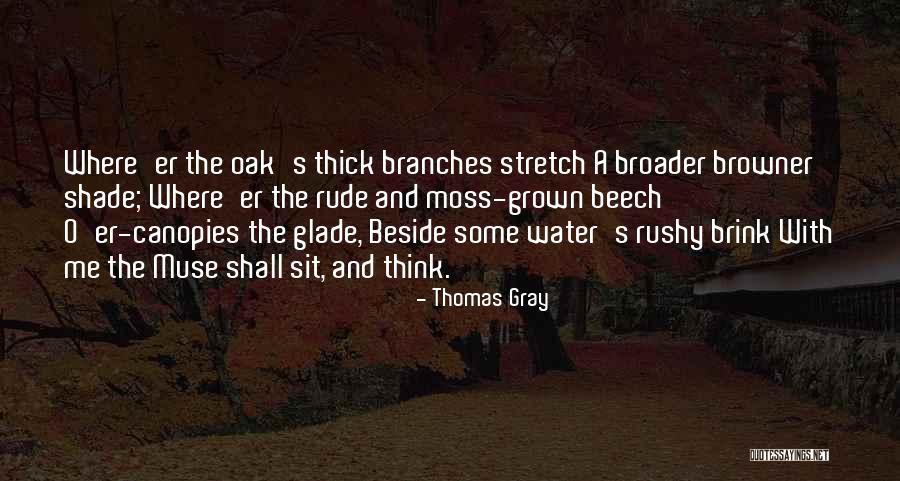 Multi Level Marketing Motivational Quotes By Thomas Gray