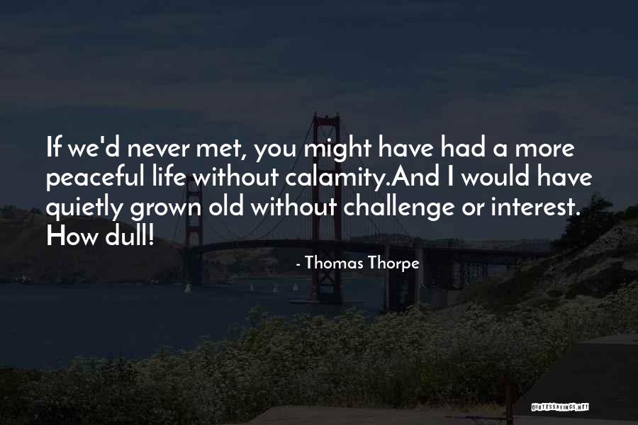 Multi Screens For Laptops Quotes By Thomas Thorpe Multi Screens For Laptops Quotes By Thomas Thorpe