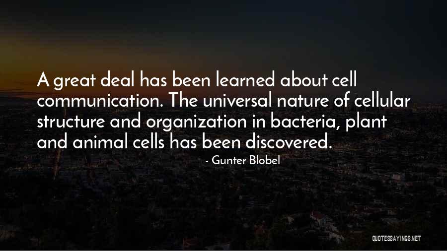 Multiclass Rules Quotes By Gunter Blobel Multiclass Rules Quotes By Gunter Blobel