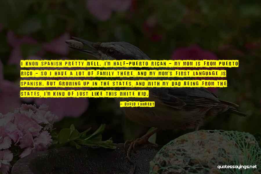 Multicoloured Quotes By David Lambert Multicoloured Quotes By David Lambert
