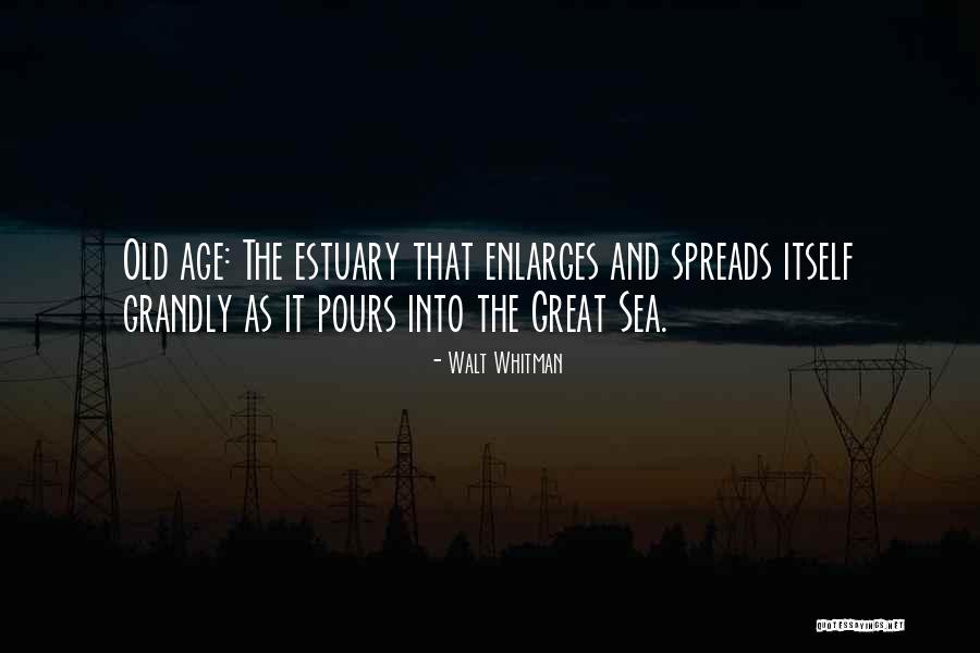 Multidecadal Quotes By Walt Whitman Multidecadal Quotes By Walt Whitman