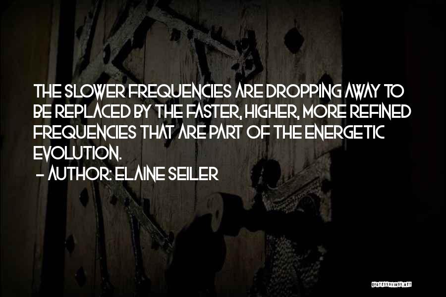 Multidimensional Quotes By Elaine Seiler