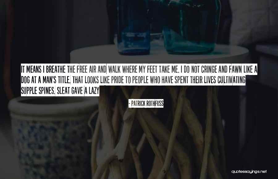 Multifariously Quotes By Patrick Rothfuss Multifariously Quotes By Patrick Rothfuss