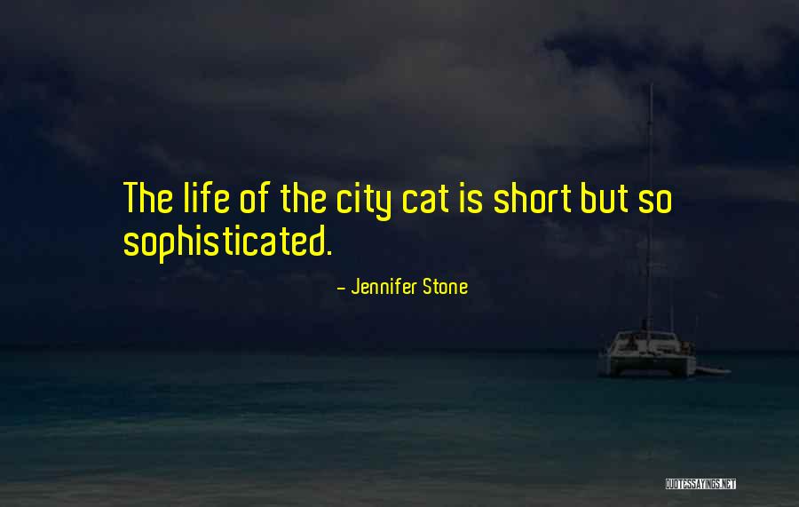 Multifunctional Car Quotes By Jennifer Stone Multifunctional Car Quotes By Jennifer Stone
