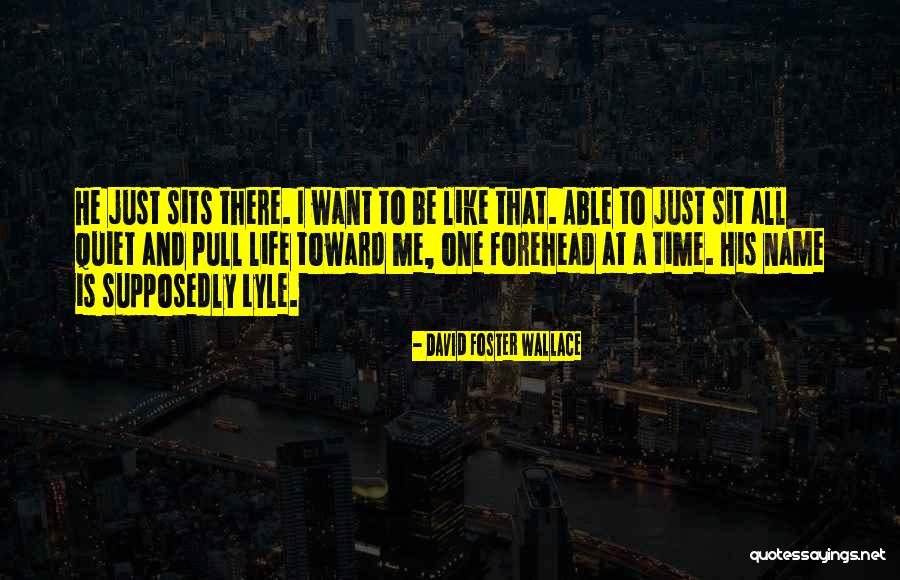 Multimillonario Definicion Quotes By David Foster Wallace Multimillonario Definicion Quotes By David Foster Wallace