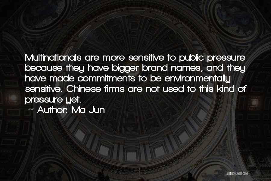 Multinationals Quotes By Ma Jun