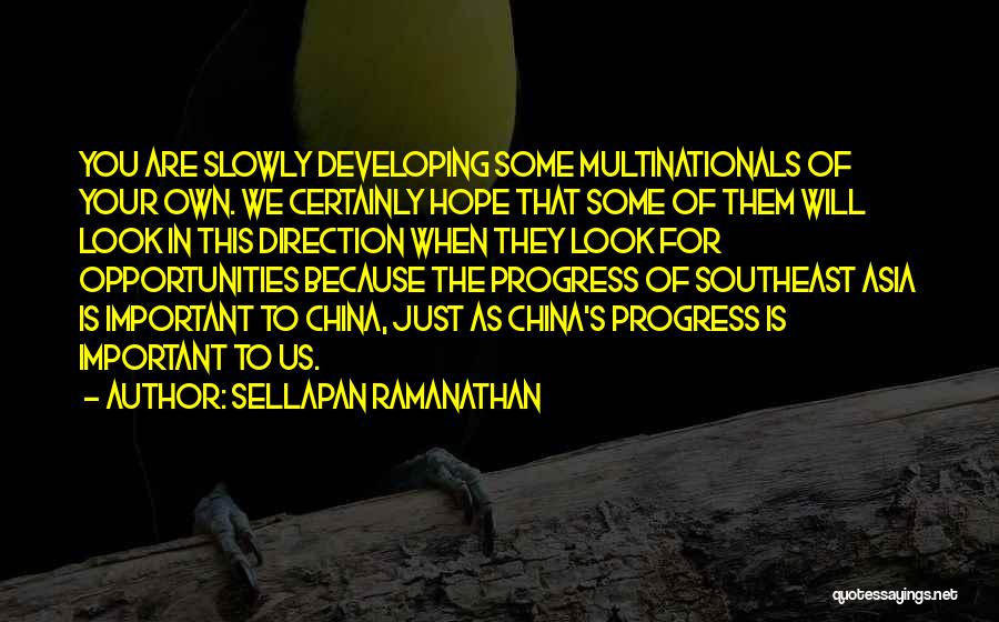 Multinationals Quotes By Sellapan Ramanathan