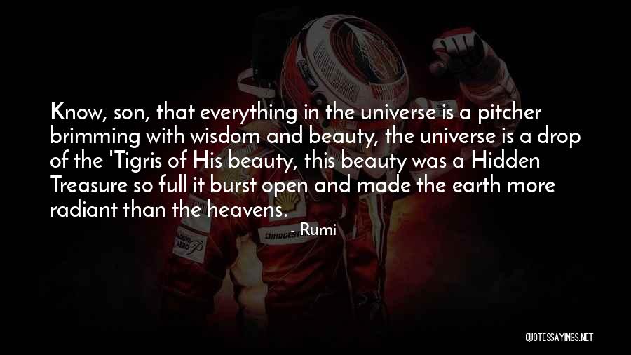 Multiple Car Dealer Quotes By Rumi Multiple Car Dealer Quotes By Rumi