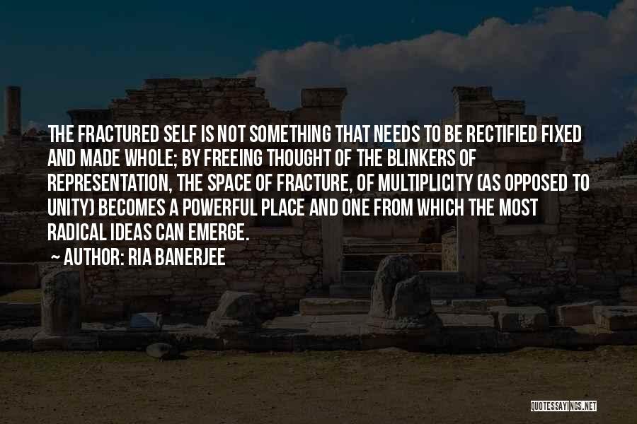 Multiplicity Quotes By Ria Banerjee