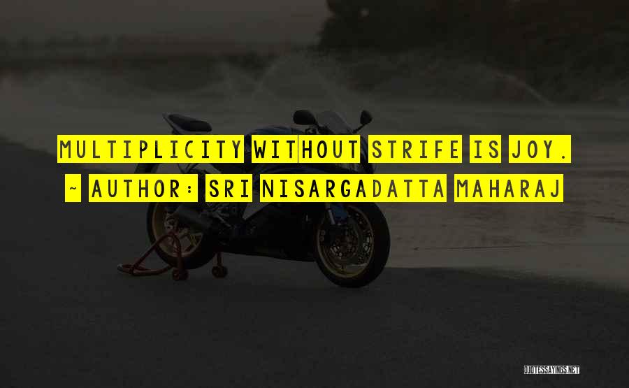 Multiplicity Quotes By Sri Nisargadatta Maharaj