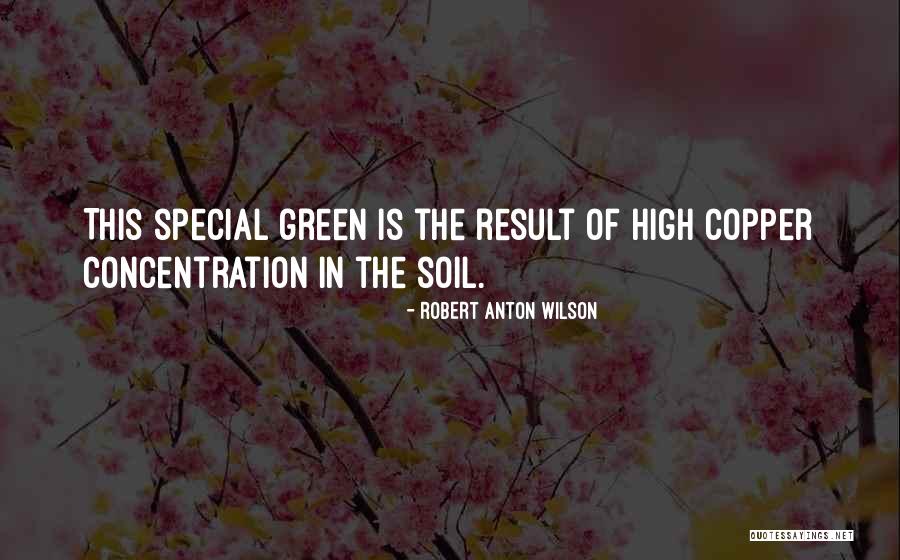 Multiplies Mentally Proper Quotes By Robert Anton Wilson