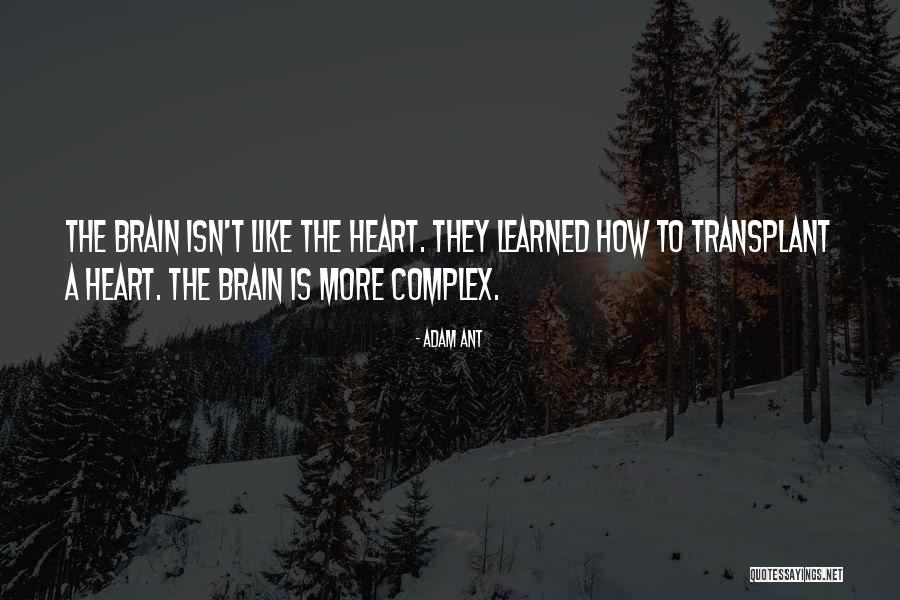 Multisport Karta Quotes By Adam Ant Multisport Karta Quotes By Adam Ant