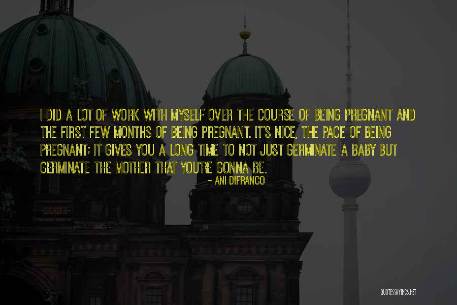 Multiyear Interactive Computer Quotes By Ani DiFranco