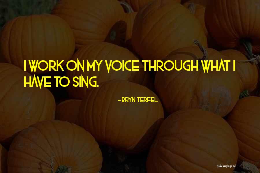 Multos Quotes By Bryn Terfel Multos Quotes By Bryn Terfel