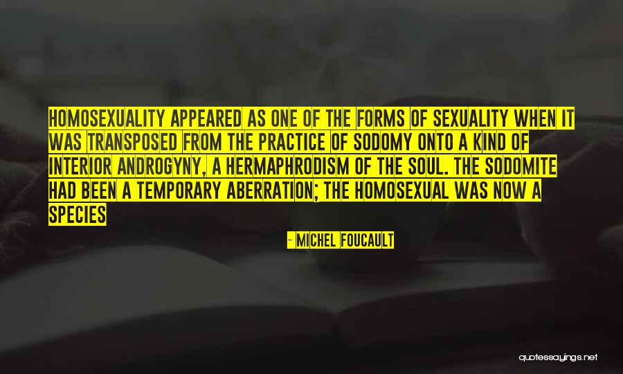 Mulumba House Quotes By Michel Foucault Mulumba House Quotes By Michel Foucault