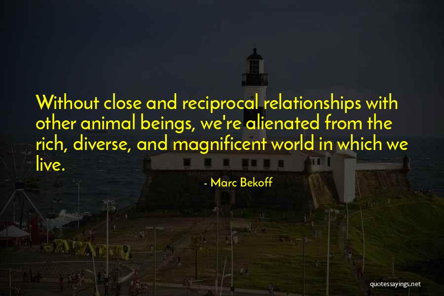 Mulvaneys For Wedding Quotes By Marc Bekoff Mulvaneys For Wedding Quotes By Marc Bekoff