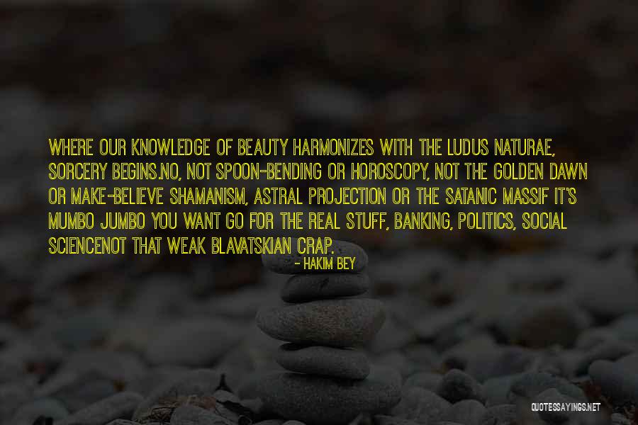 Mumbo Jumbo Quotes By Hakim Bey Mumbo Jumbo Quotes By Hakim Bey