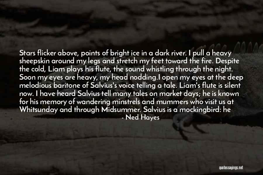Mummers Quotes By Ned Hayes Mummers Quotes By Ned Hayes