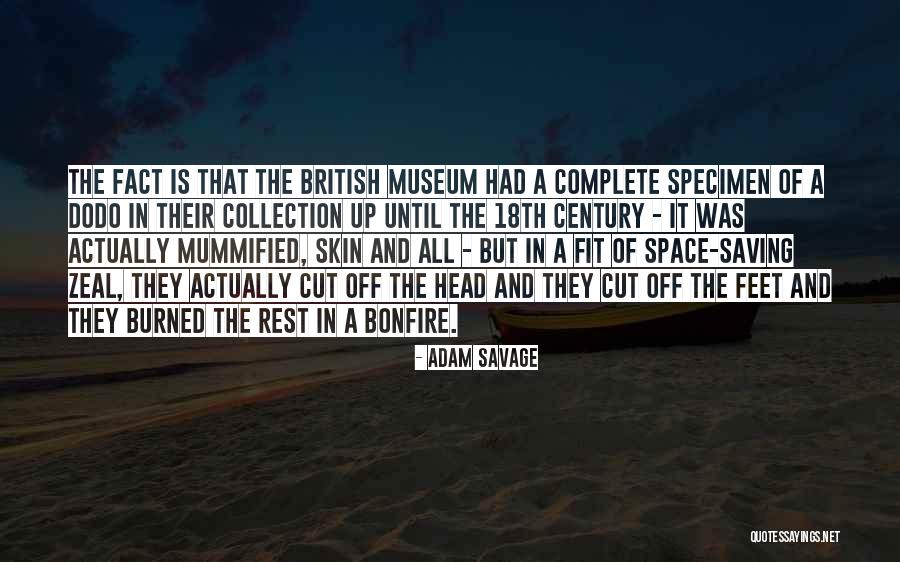 Mummified Quotes By Adam Savage Mummified Quotes By Adam Savage