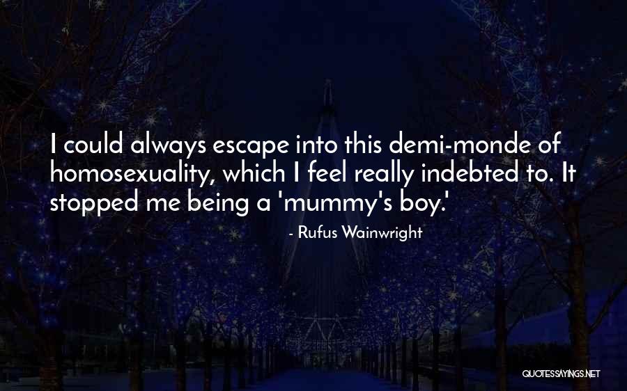 Mummy's Boy Quotes By Rufus Wainwright