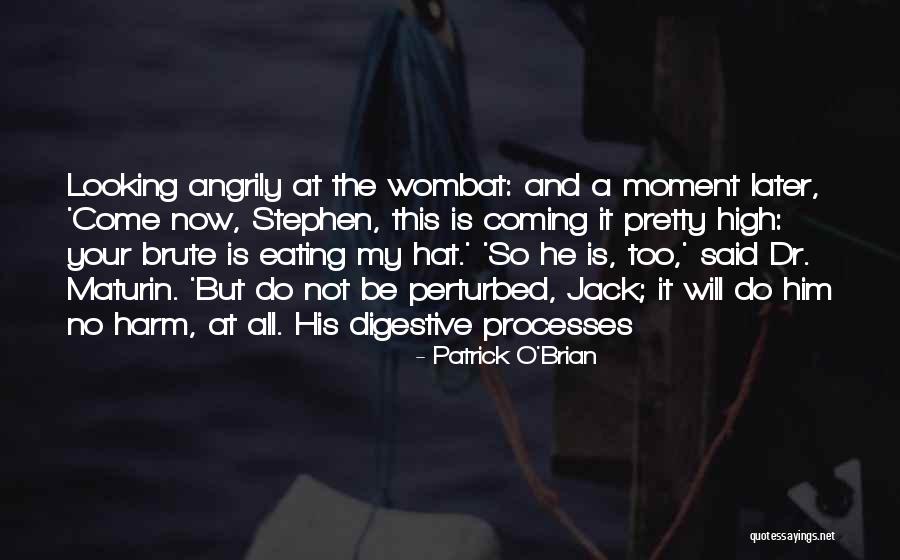 Munafo Asteras Quotes By Patrick O'Brian Munafo Asteras Quotes By Patrick O'Brian
