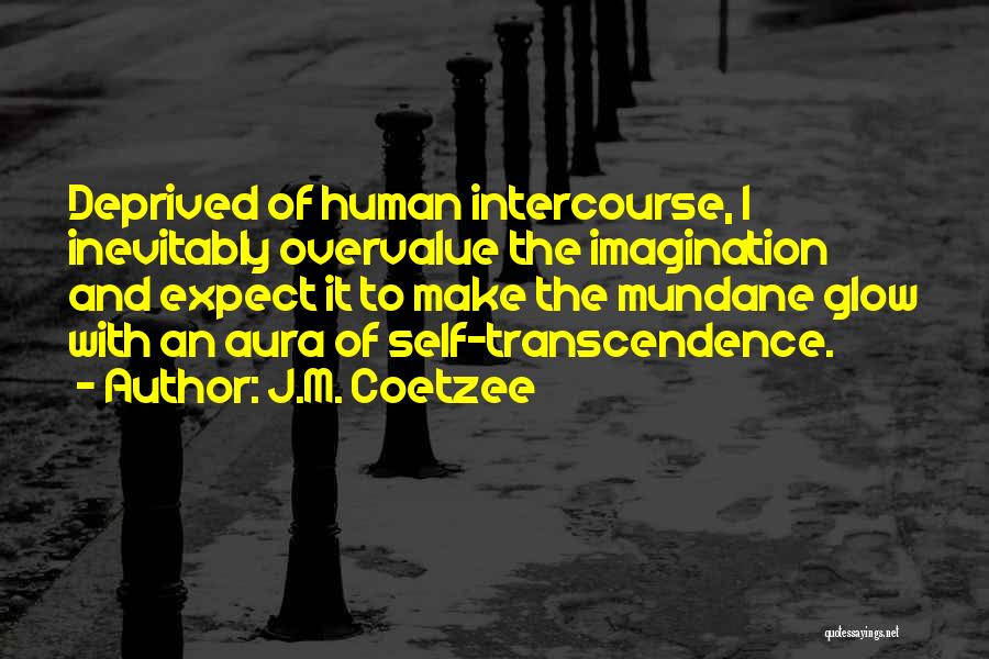 Mundane Quotes By J.M. Coetzee