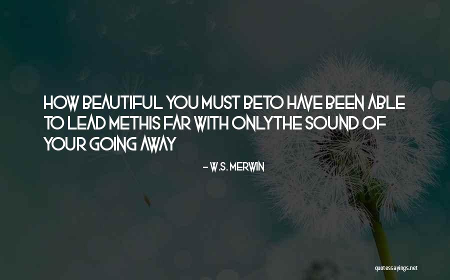 Mundhenke Beef Quotes By W.S. Merwin Mundhenke Beef Quotes By W.S. Merwin